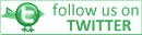 follow us on twitter