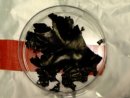 New lithium-ion battery technology