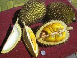 Fruit and supercapacitor batteries