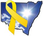 NSW solar feed in tariff NSW solar feed in tariff