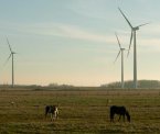Ontario dumps coal power
