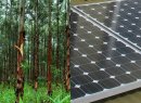 Tree offsetting vs. renewable energy