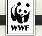 WWF UK renewable energy report WWF UK renewable energy report