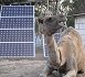 Off grid solar power rebates