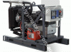 Powerhouse Yanma/Sincro 8.0KVA Diesel Generator