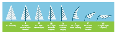 Griggs Putnam Wind Index