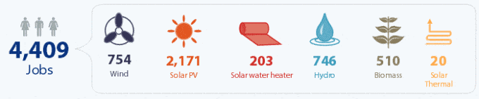 NSW renewable energy job