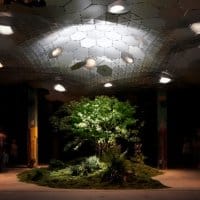 Lowline underground park