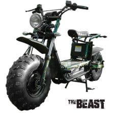 The Beast D - Off-road eBike