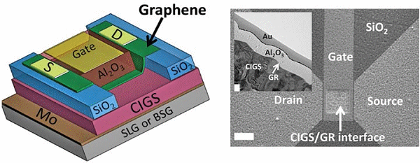 Graphene and glass solar cell