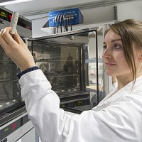Solar battery hybrid systems