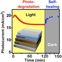 Self-healing perovskite solar cells