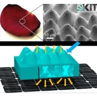 Solar research - rose petal biomimcry
