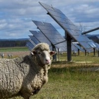 Gunnedah Solar Farm