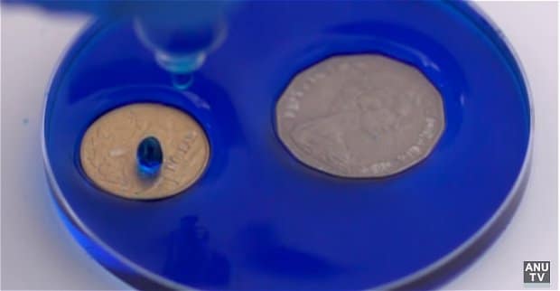 Water repellent coating