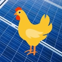 Chicken farms - solar panels