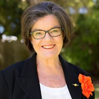 Federal MP for Indi Cathy McGowan says support for community power projects vital to national energy mix