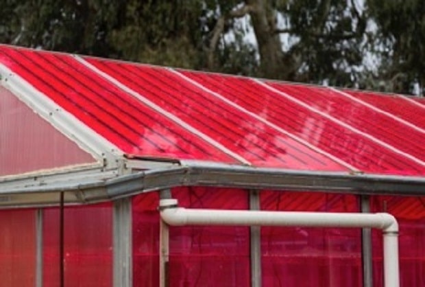 solar powered greenhouses