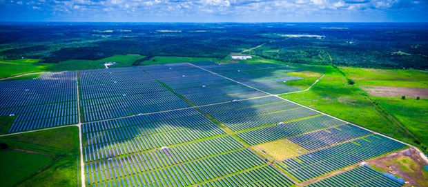 lilyvale solar farm