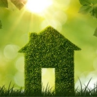 Renters choose renewables