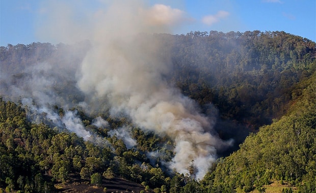 A firefighting expert says the government should address climate change bushfires link