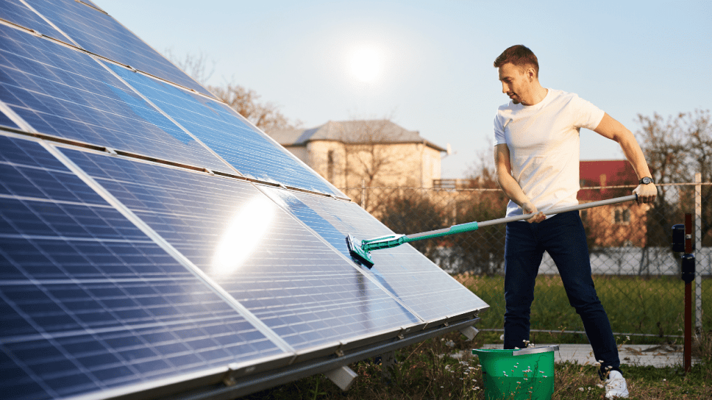 solar panels professional cleaning