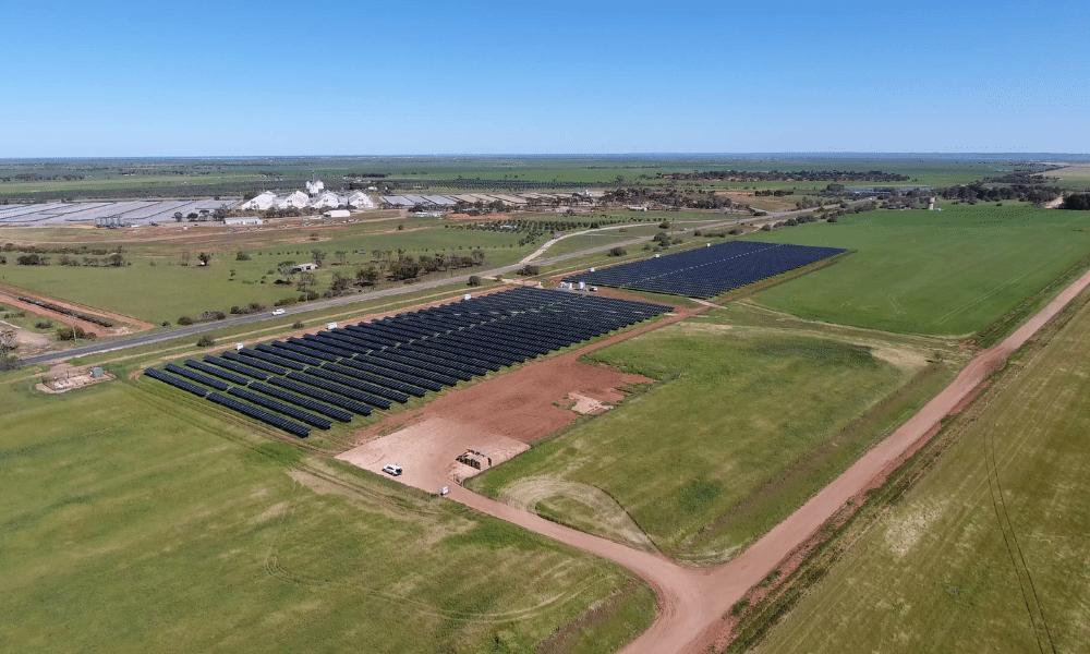 Bowmans Solar Farm Project