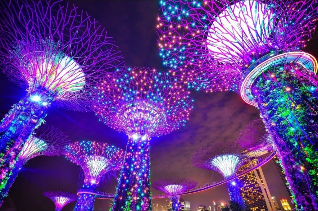 solar trees