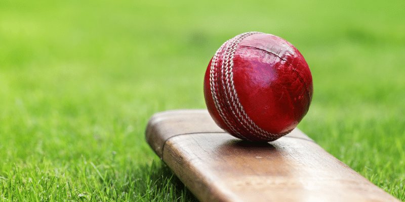 cricket for climate