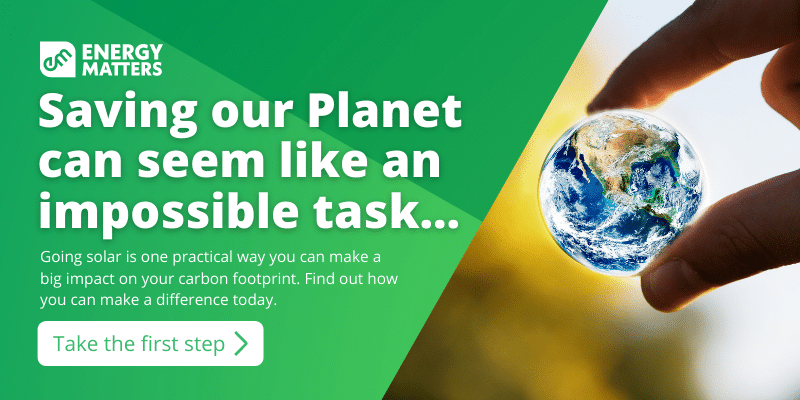 saving our planet- a quotation