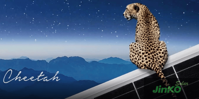JinkoSolar Cheetah HC 72M