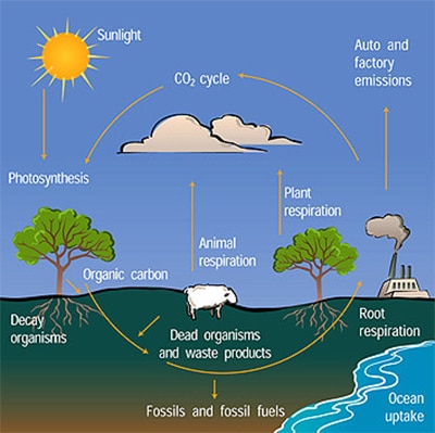 Solar lifetime environmental impacts compared to coal