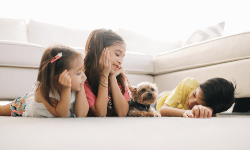 Hydronic heating-Reliable & safe