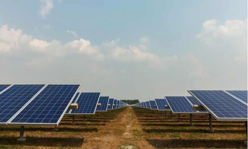 The Wyalong solar farm