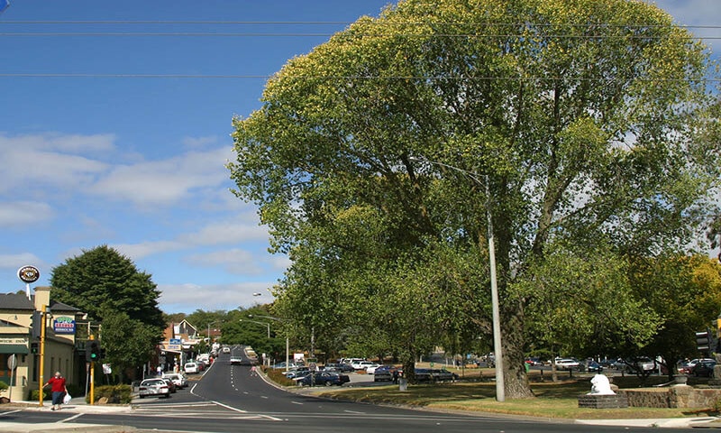 solar panels berwick