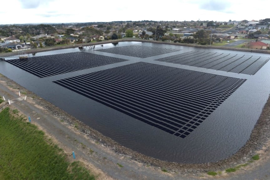 An artist illustrates the floating solar system in Brierly Basin
