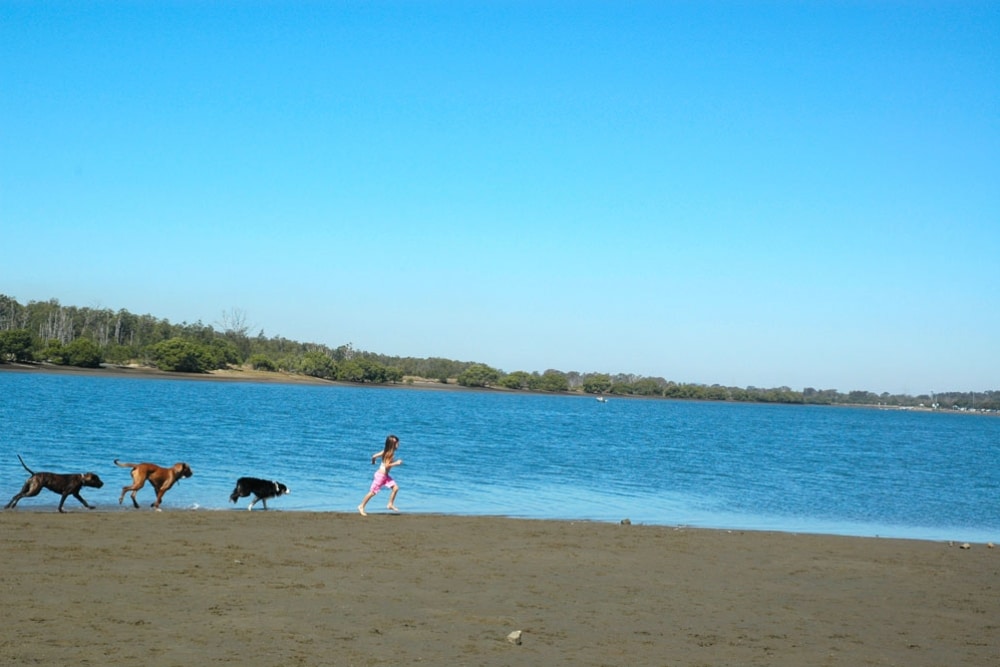 Nudgee Beach, QLD