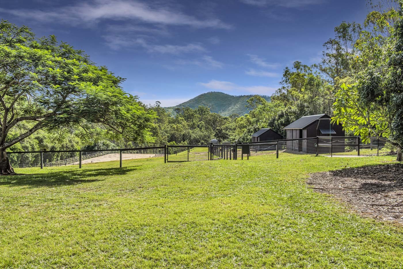 Wights Mountain, QLD