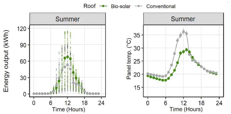 biosolar roof-graph