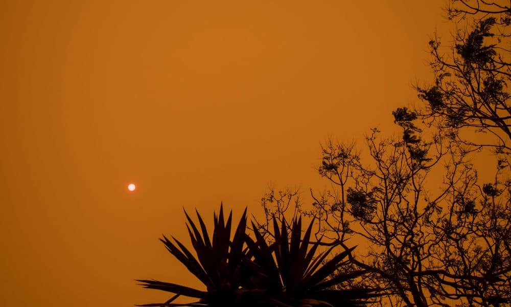 Bushfire smoke blanketing the sky