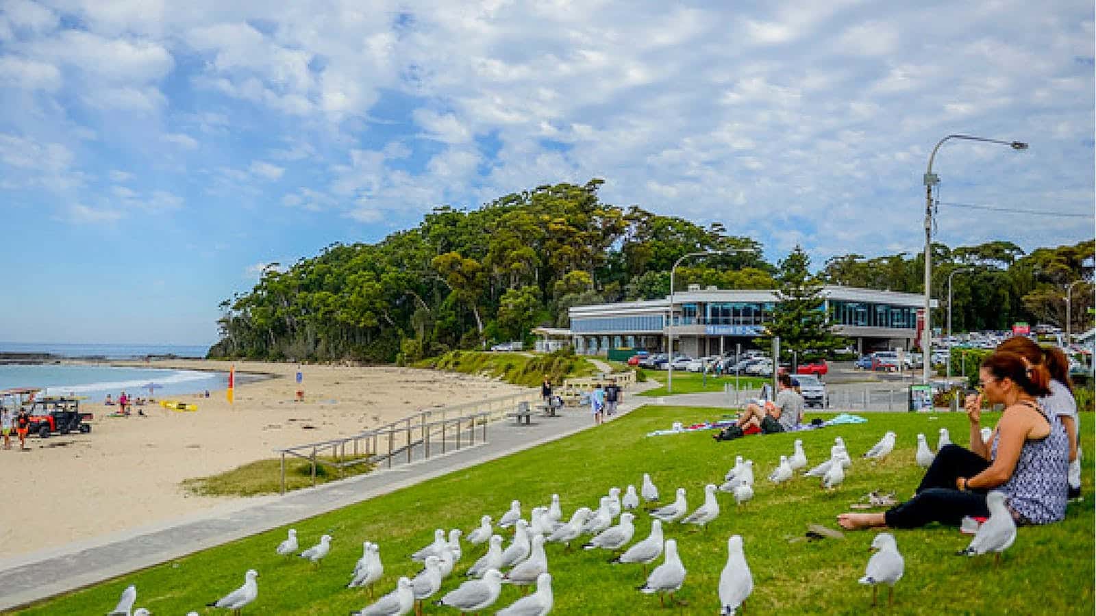 Mollymook, NSW