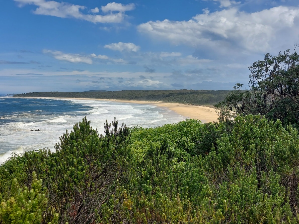 Moruya, NSW