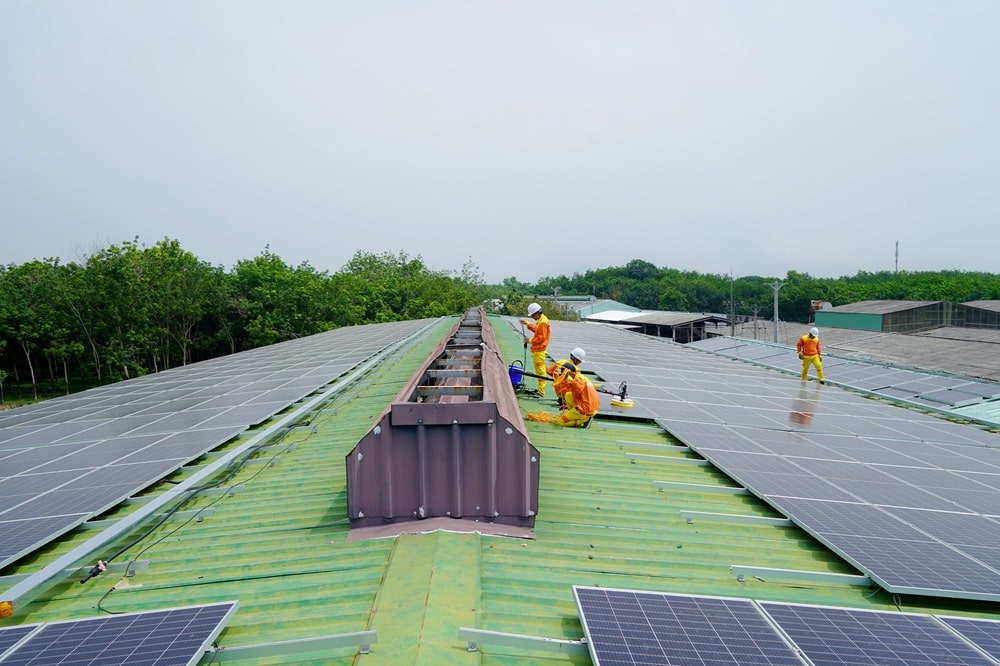 solar panel cleaner