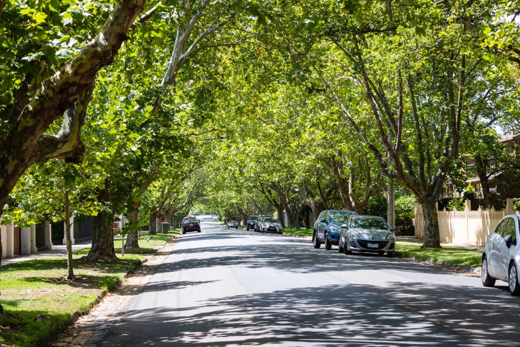 Kew, VIC
