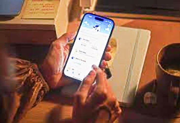 Electricity smart meters