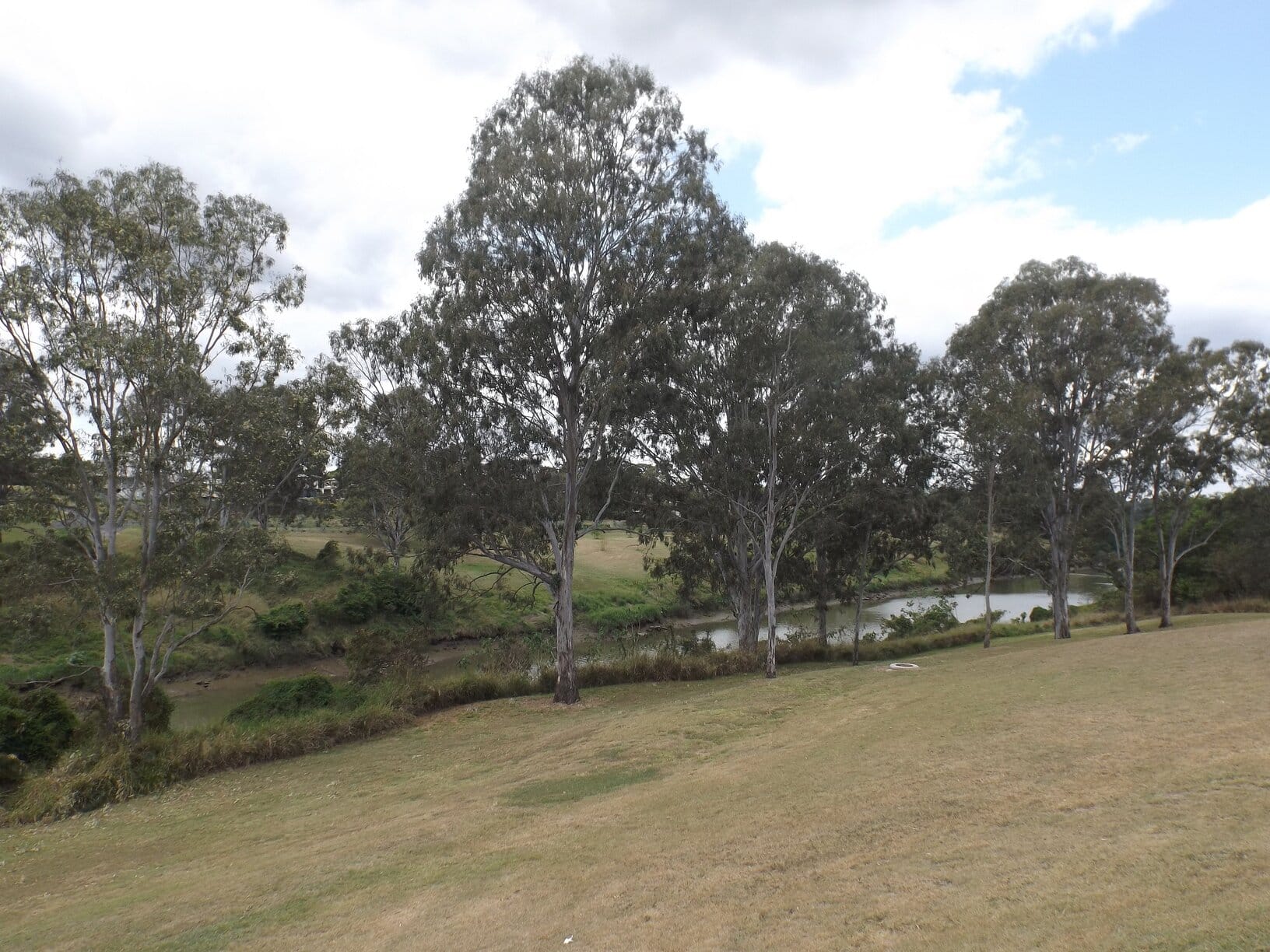 Basin Pocket, QLD