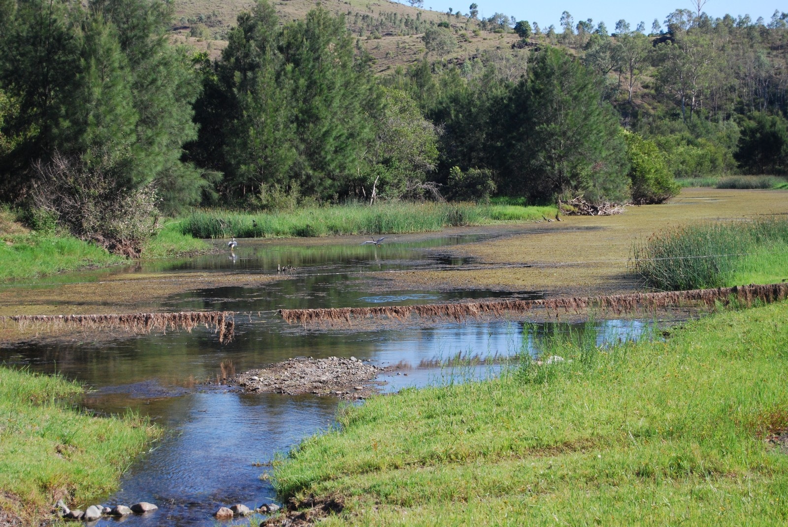 Monsildale, QLD