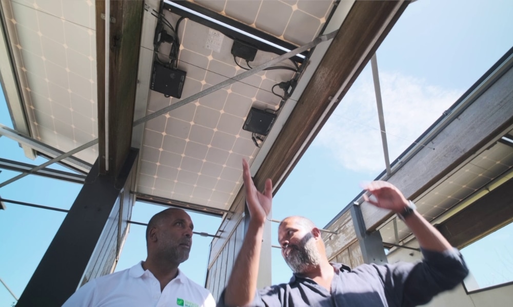 Yingli solar panels used as shade