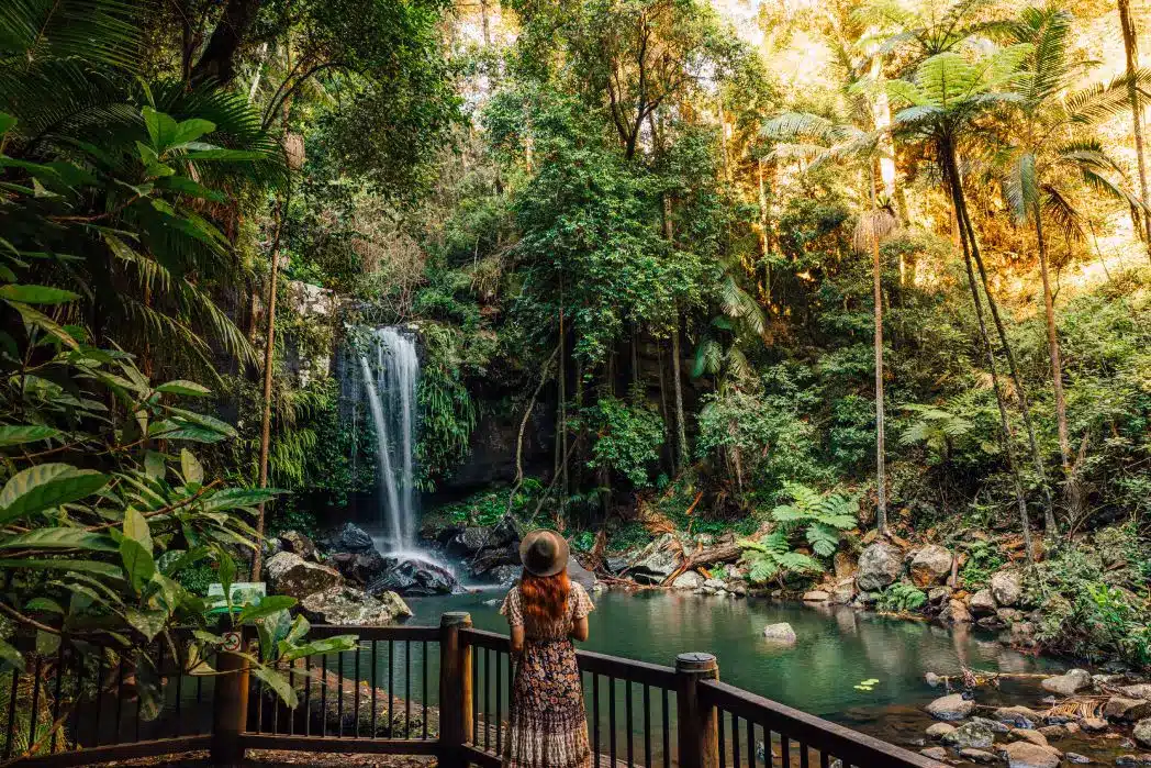 Tamborine, QLD