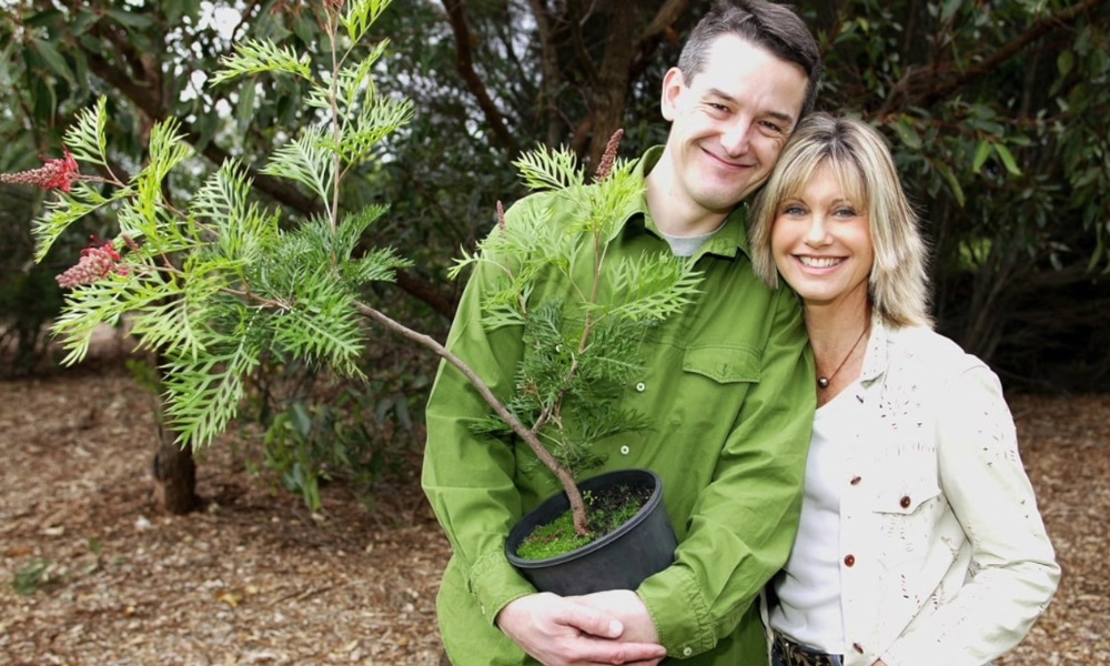 Open Homes Australia One Tree Per Child